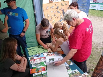Piknik województwa łódzkiego w Dłutowie, 